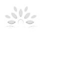 Insurance Cigna